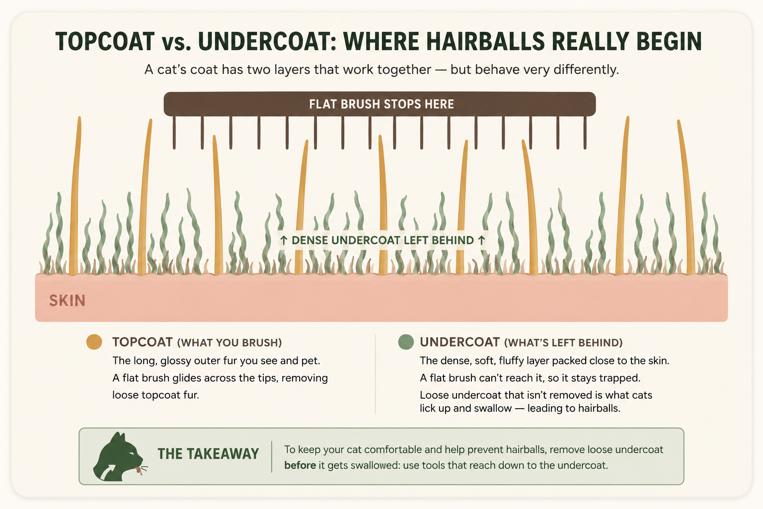 The Undercoat Trap: a flat brush skims across the long topcoat while the dense undercoat stays packed near the skin and is left behind. The cat then licks that loose undercoat off and swallows it — which is where hairballs begin.